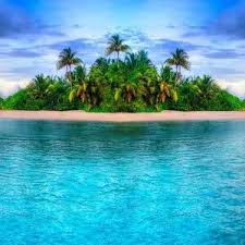 I will prepare balance sheet, profit or loss and financial projections