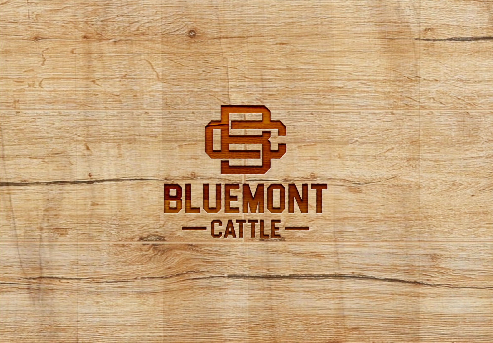 I'll do custom cattle brand within 24 hours