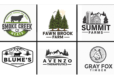 I will design a unique farm logo within 48 hours.