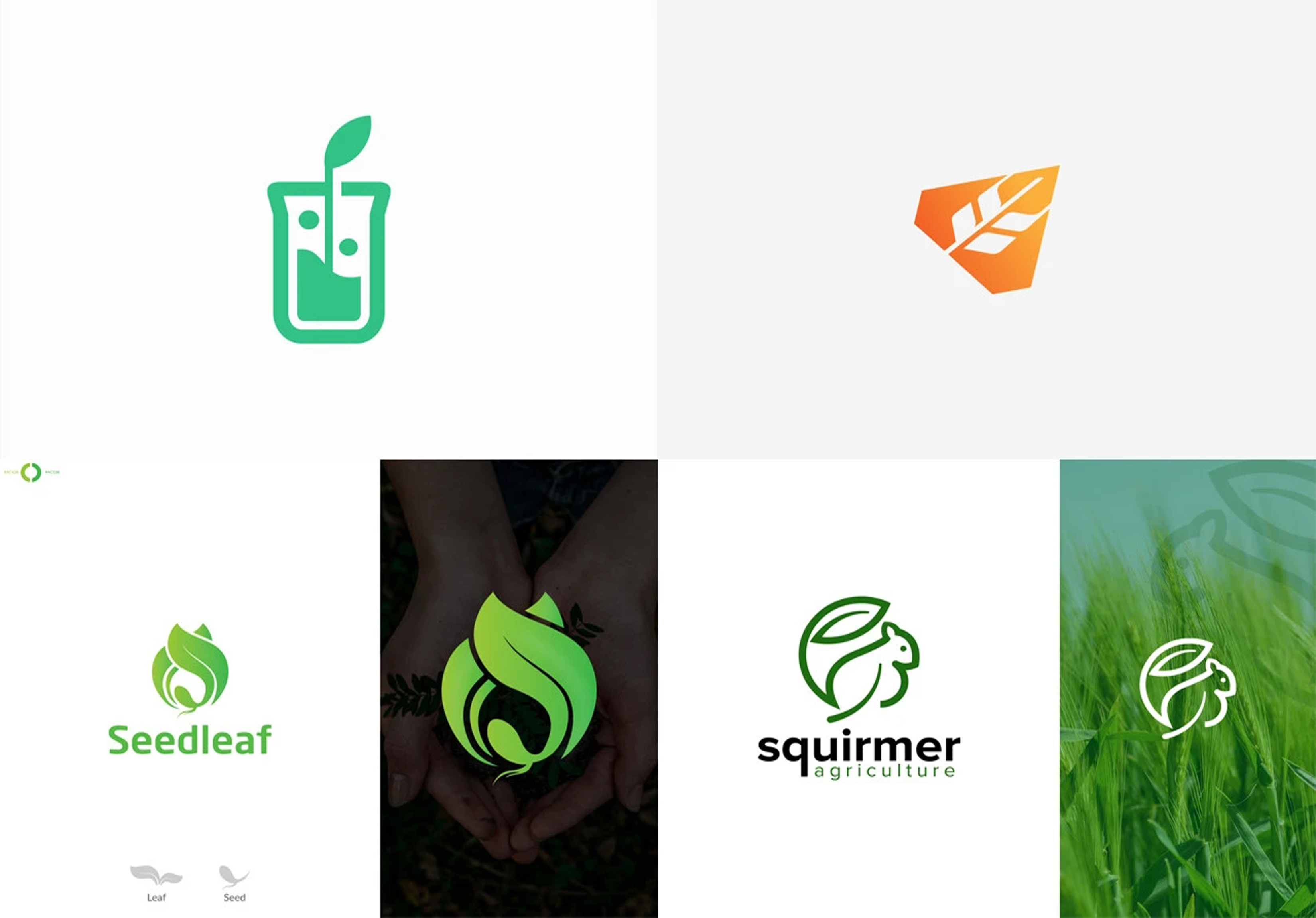 Creative luxury logo design for you in just 24 hours