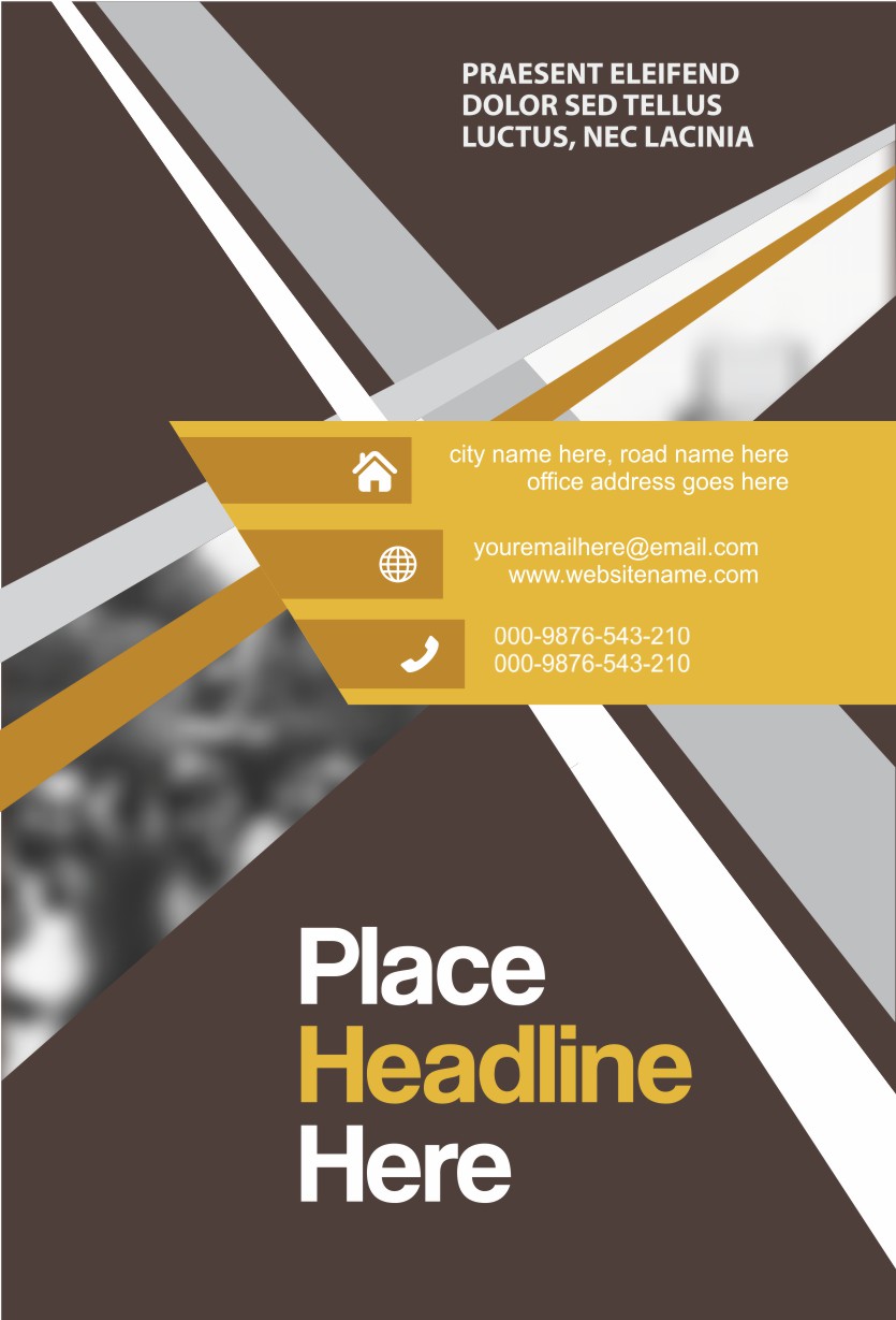 I will do Logo Design and Flyer Design 