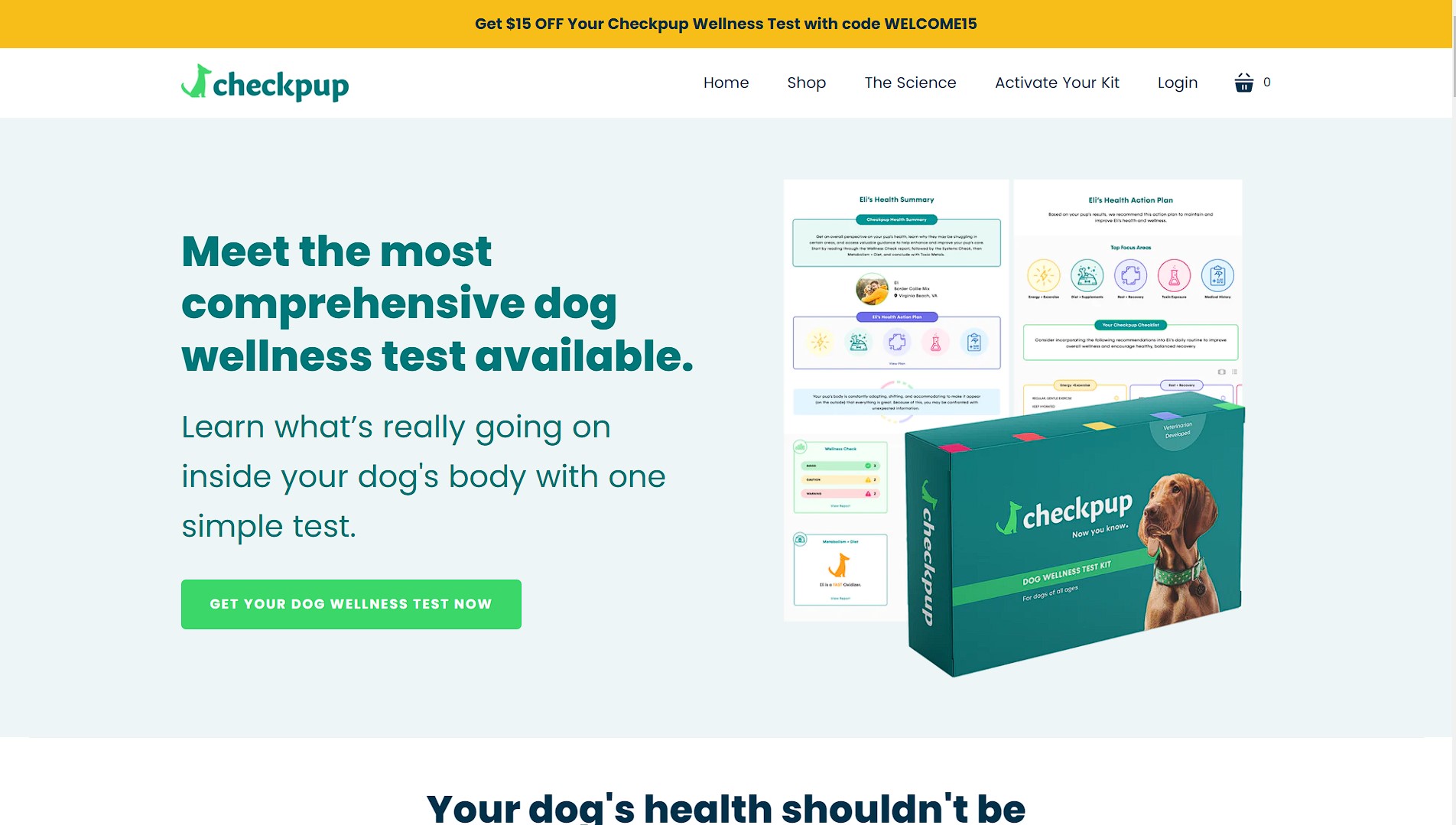 I will build a dropshipping shopify store or shopify website for passive income