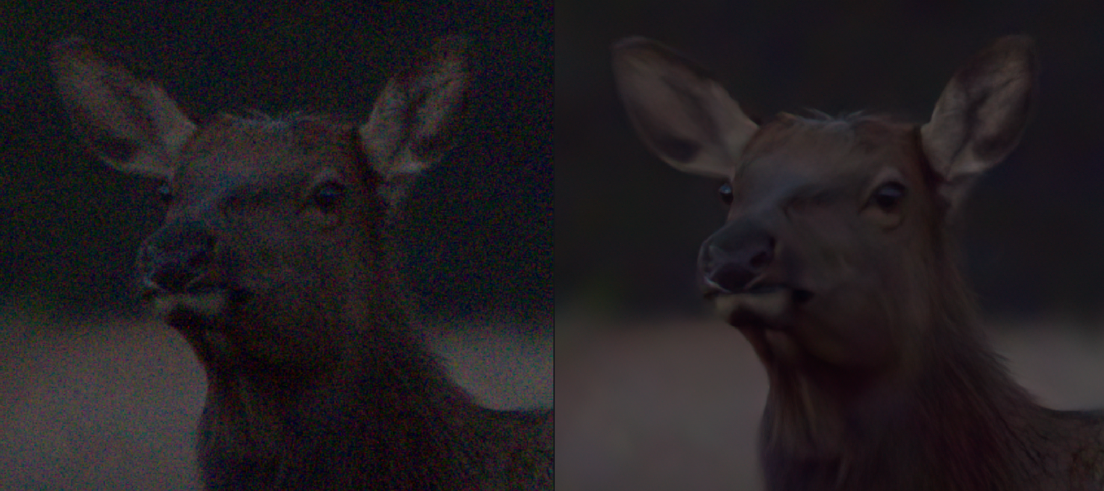 I will remove the noise in your image