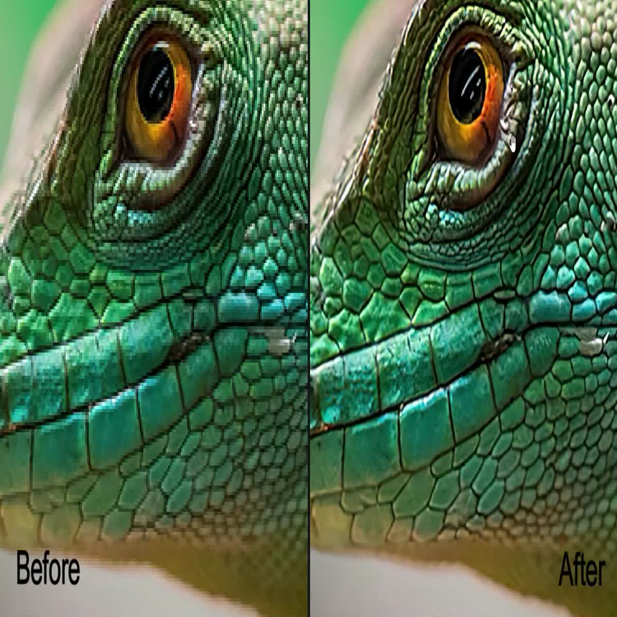 I scale your images up to 600 percent