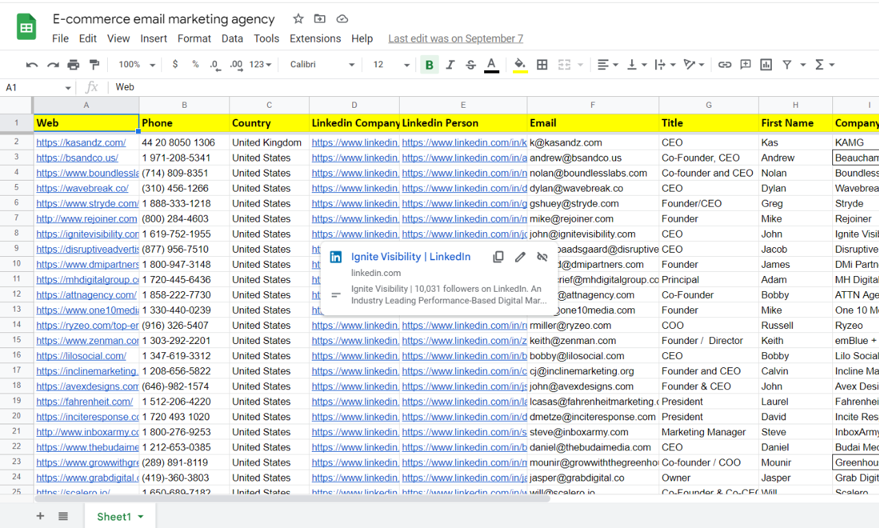 I will do b2b lead generation, business leads, linkedin leads, real estate leads