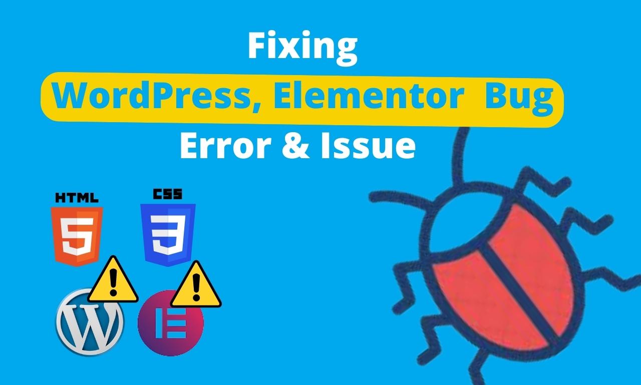 I will fix any kinds of wordPress bugs, issues & errors