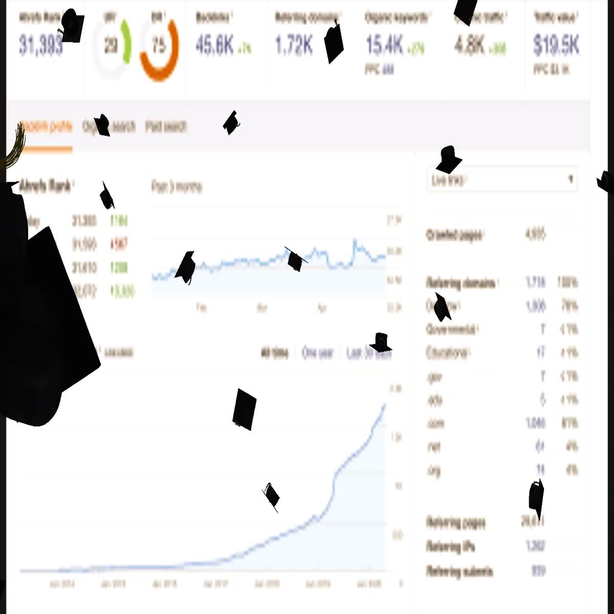  I will do full website audit and monthly SEO service