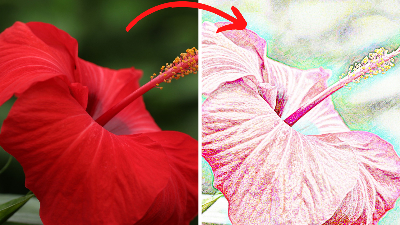 I will convert a photo to sketch