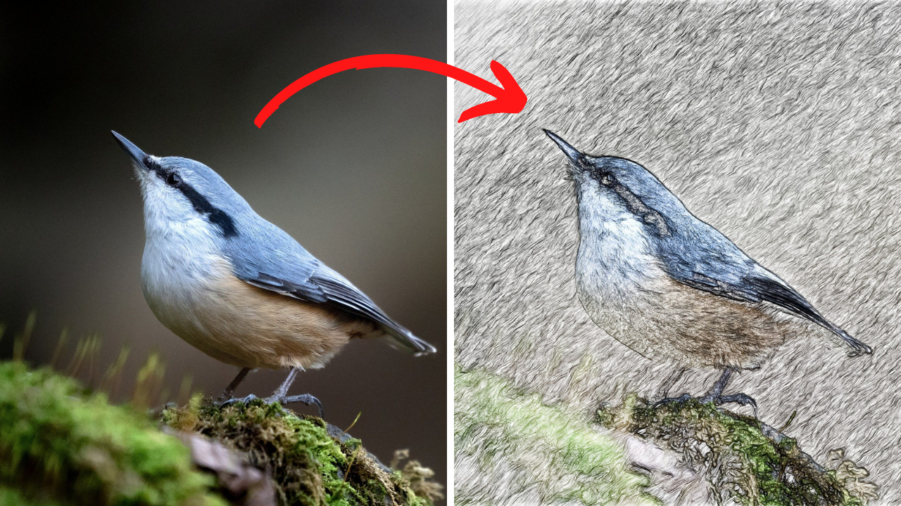 I will convert a photo to sketch