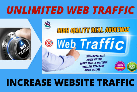 100,000 Organic web traffic to your website/blog 