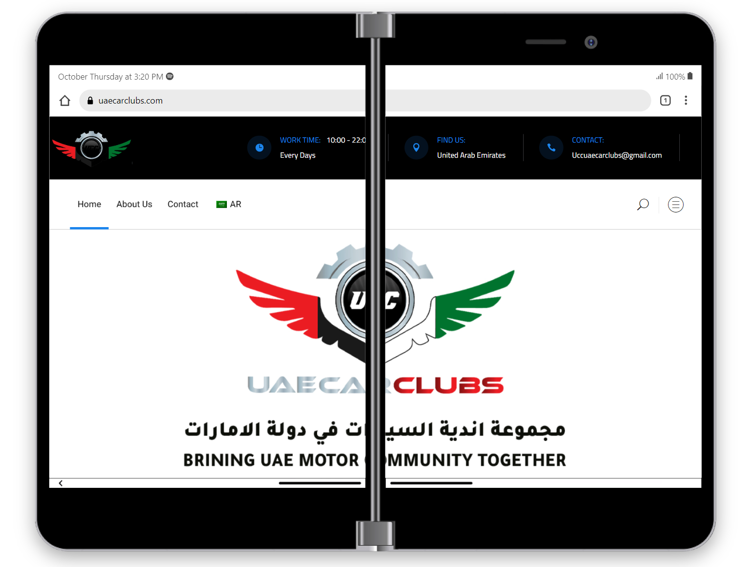 I will Create High Quality Website With Wordpress (Store,Protfolio,Blog)
