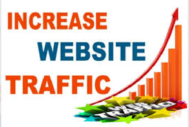 Drive 80k organic traffic to your website 