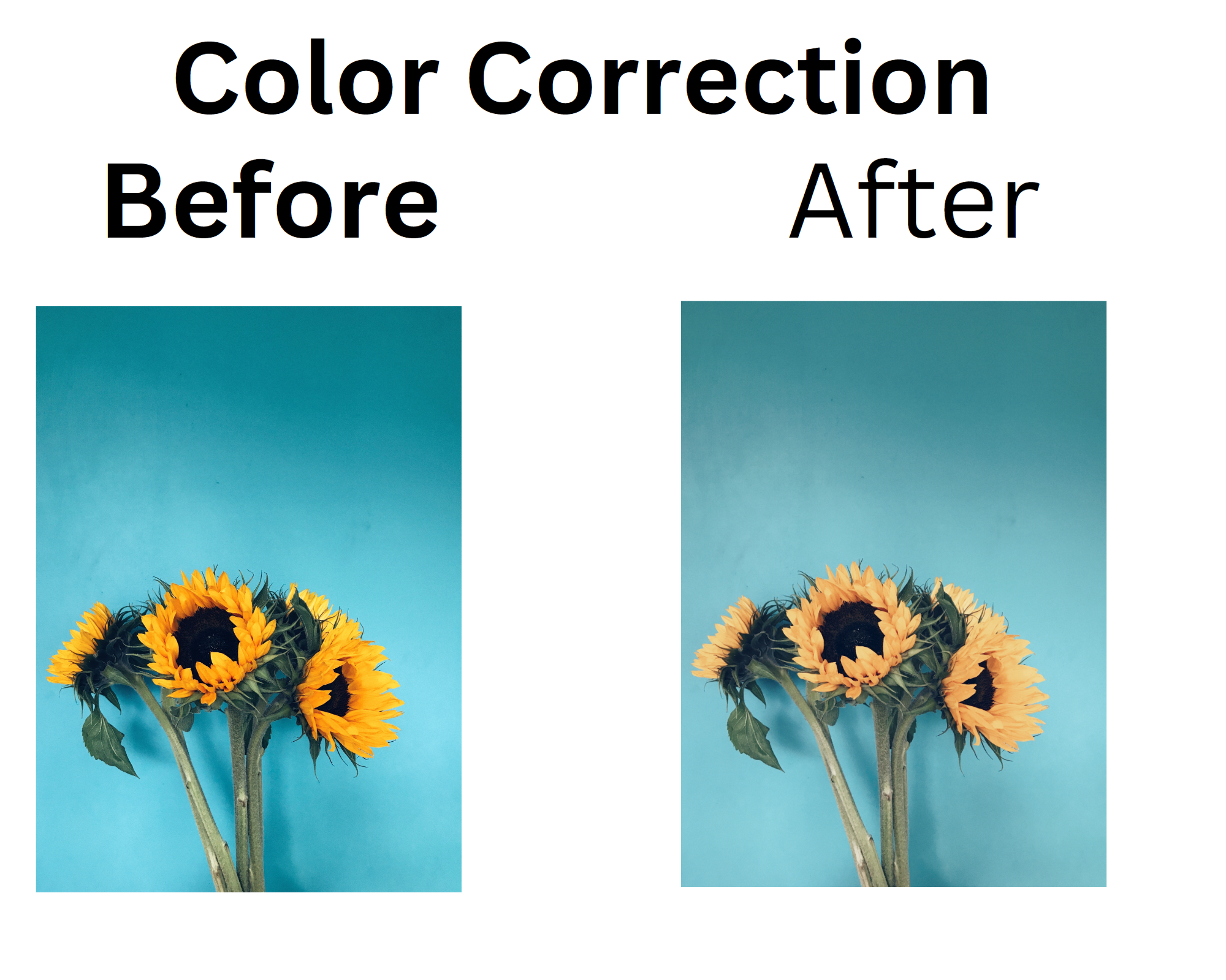 I will cut out images and background removal from your images very fast