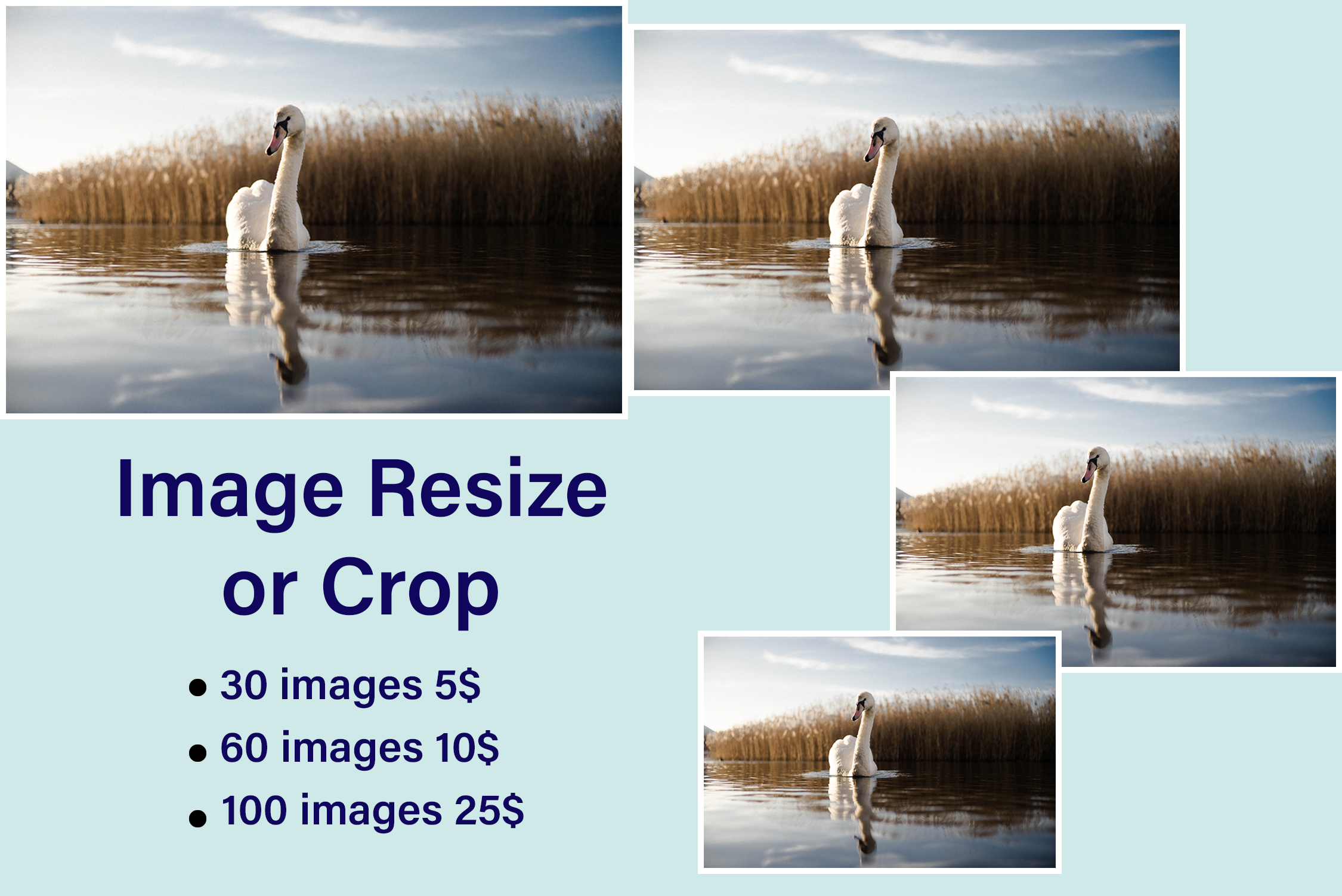 I Will Do Photo Background Removal, Crop and resize images perfectly