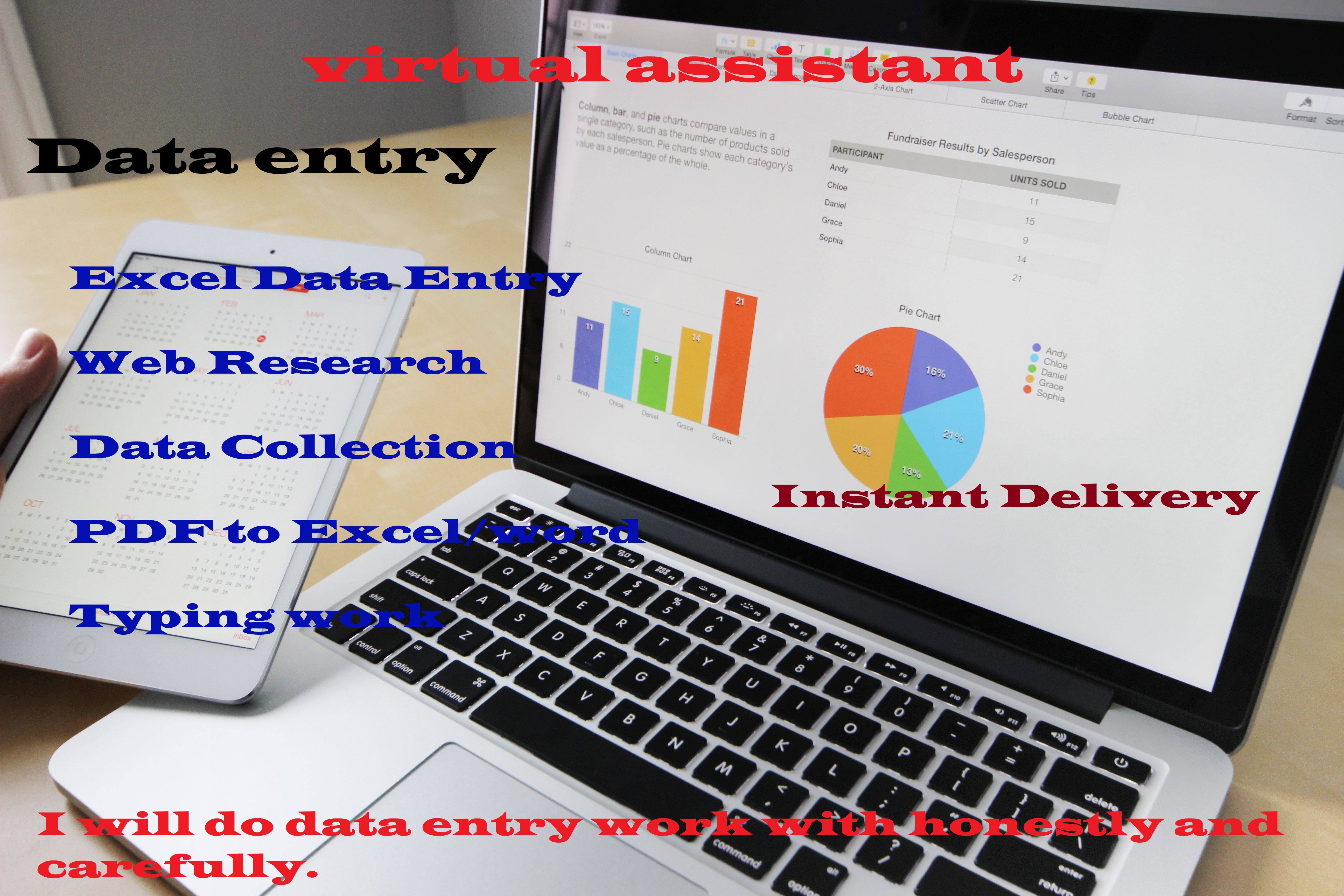 I have Experience Professional-Level Data Entry and Typing