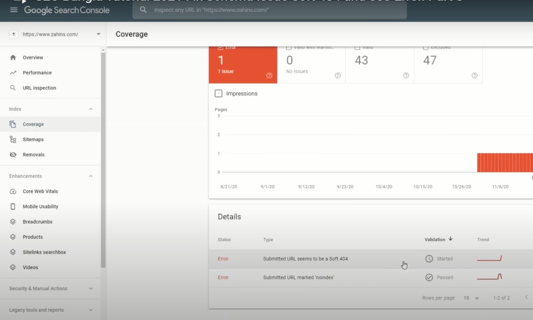 I will fix google search console index problems or coverage errors
