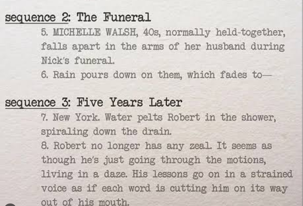 I will Write a standard movie's script for your production.