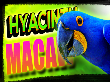 I will create a clickbait , Attractive thumbnail within 2 Hours