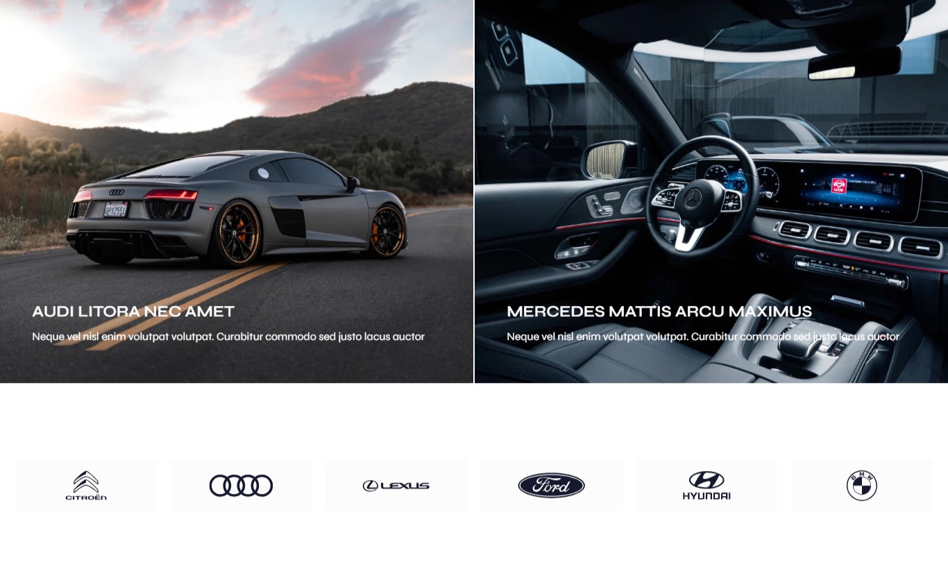 I Can Customize, Redesign Wordpress Website, Fully Responsive Website design 