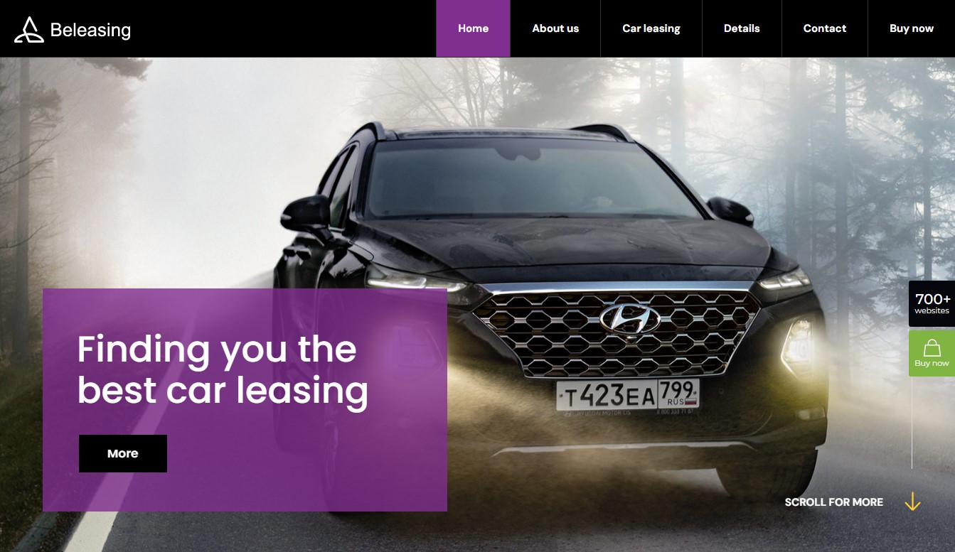 I Can Design, Develop Wordpress Website, Fully Responsive Website 