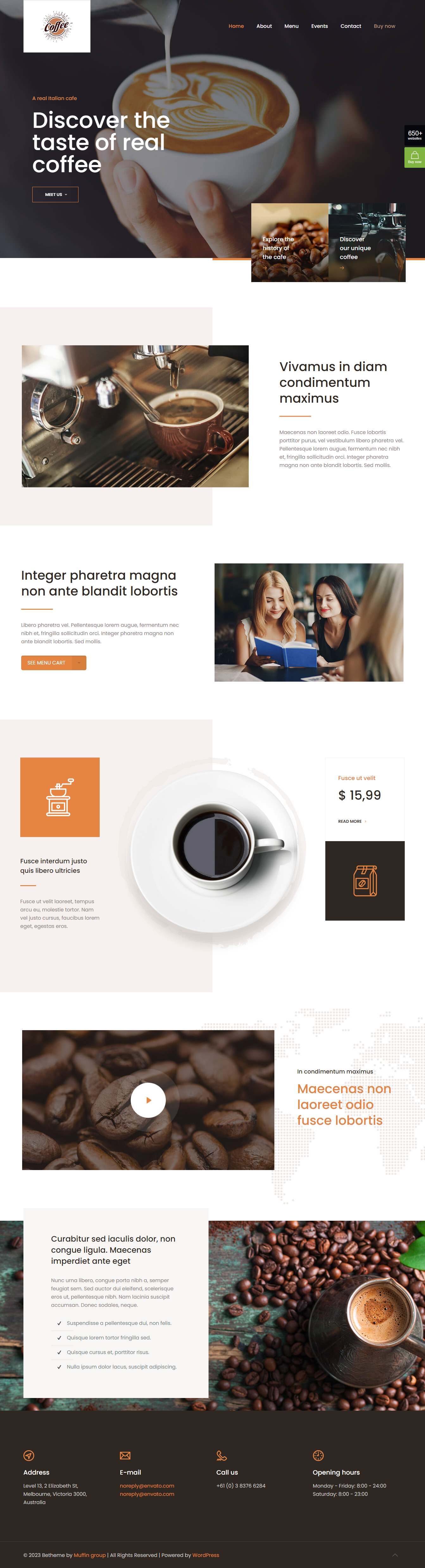 I Can Customize, Redesign Wordpress Website, Fully Responsive Website design 