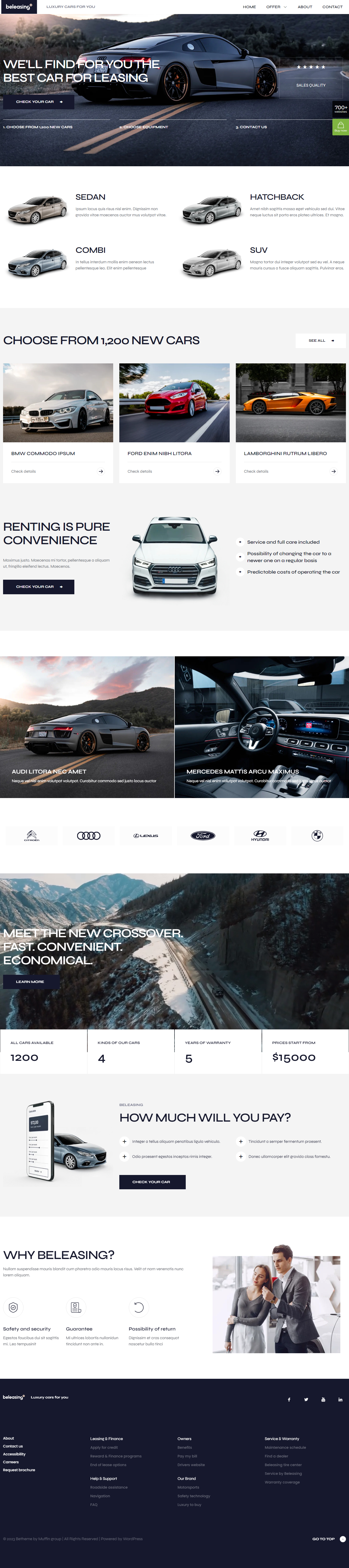 I Can Customize, Redesign Wordpress Website, Fully Responsive Website design 