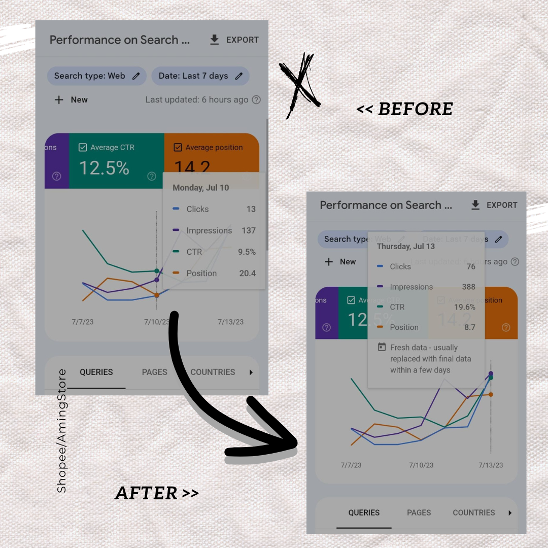  Website Traffic / Visitors Monitored by Google Search Console and Analytics