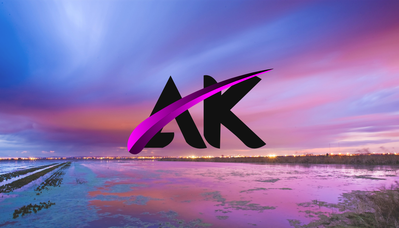 3 creative and modern logo design for your business in just 24 hours 