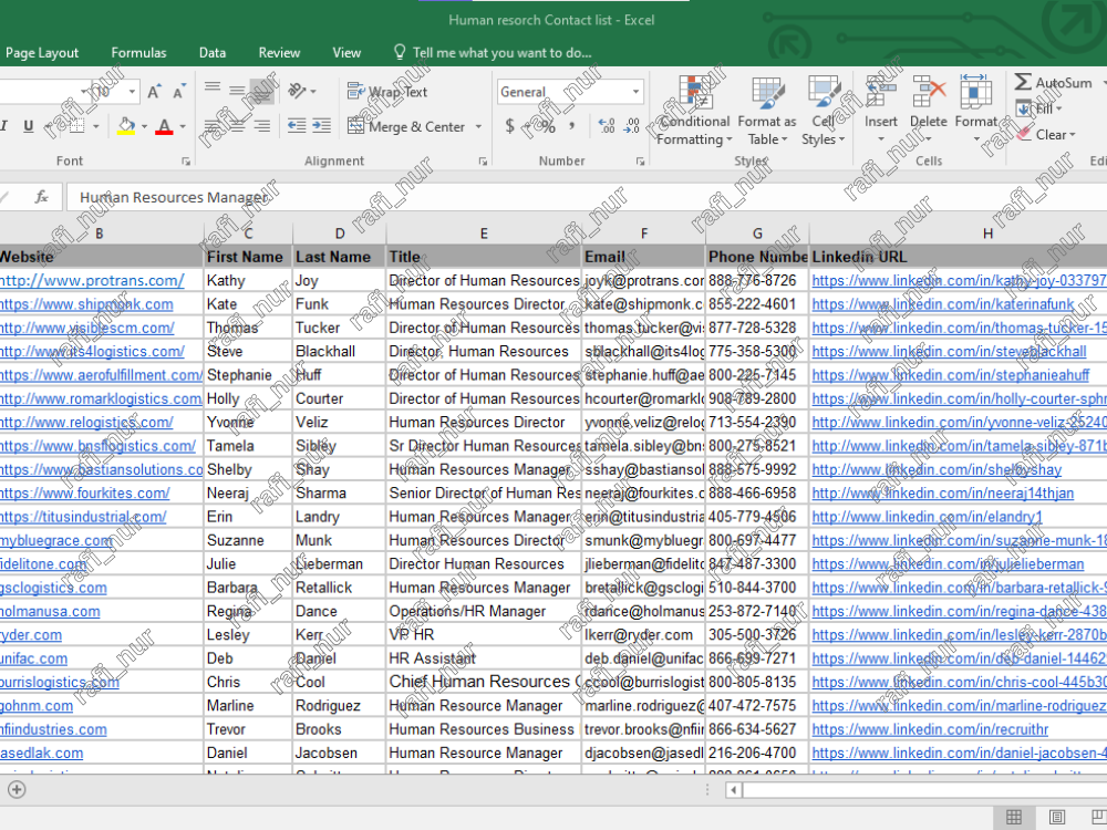 I will Provide Lead Generation, B2B Leads, LinkedIn Leads and Email Listing