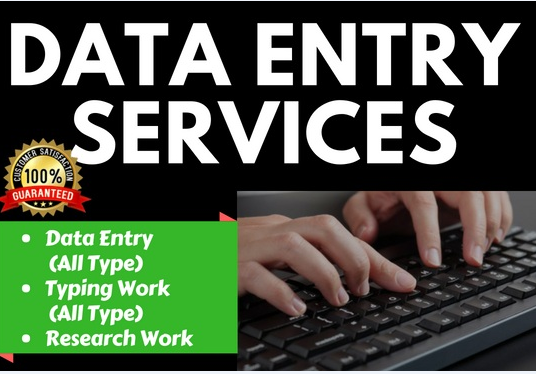 I will do data entry, copy paste, web research and product listing