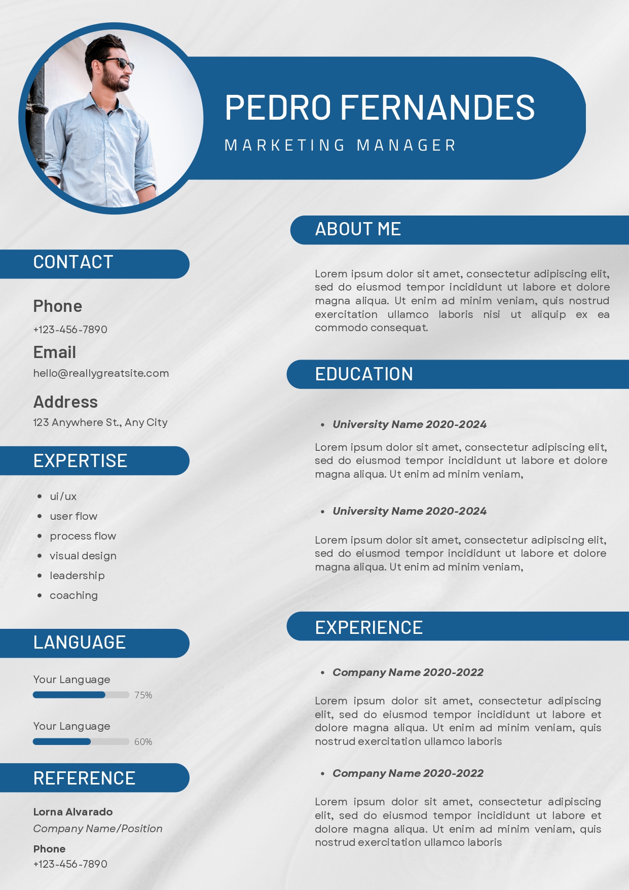 I will write your Resume in a Professional Manner for you