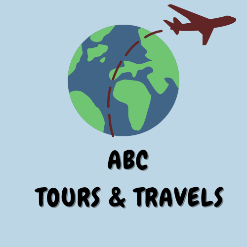 I will design professional custom logos for you 