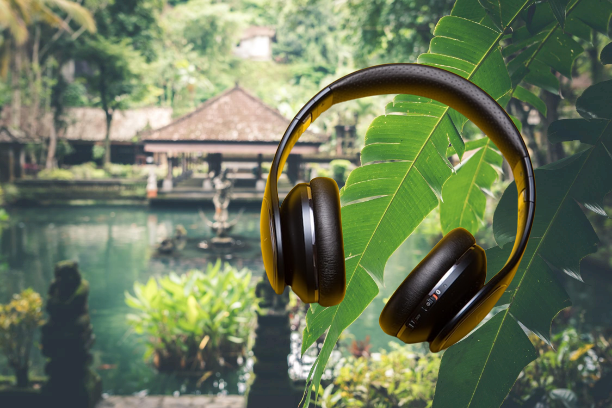 Professional Image Background Removal Service