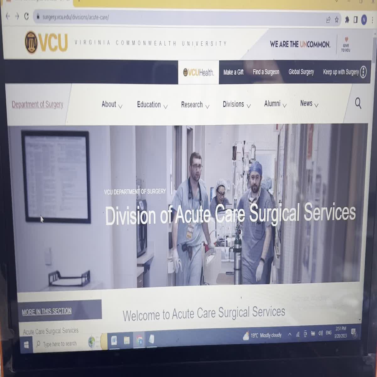 writing,  rewriting,  image background remover,  plagiarism remover