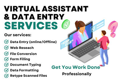  Expert Data Entry and Virtual Assistant for Copy Paste and Web Research