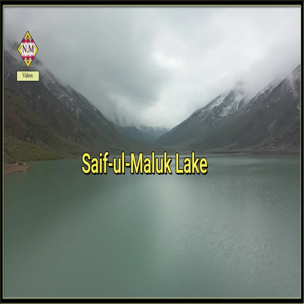 I will do Professional video Editing for any Platform