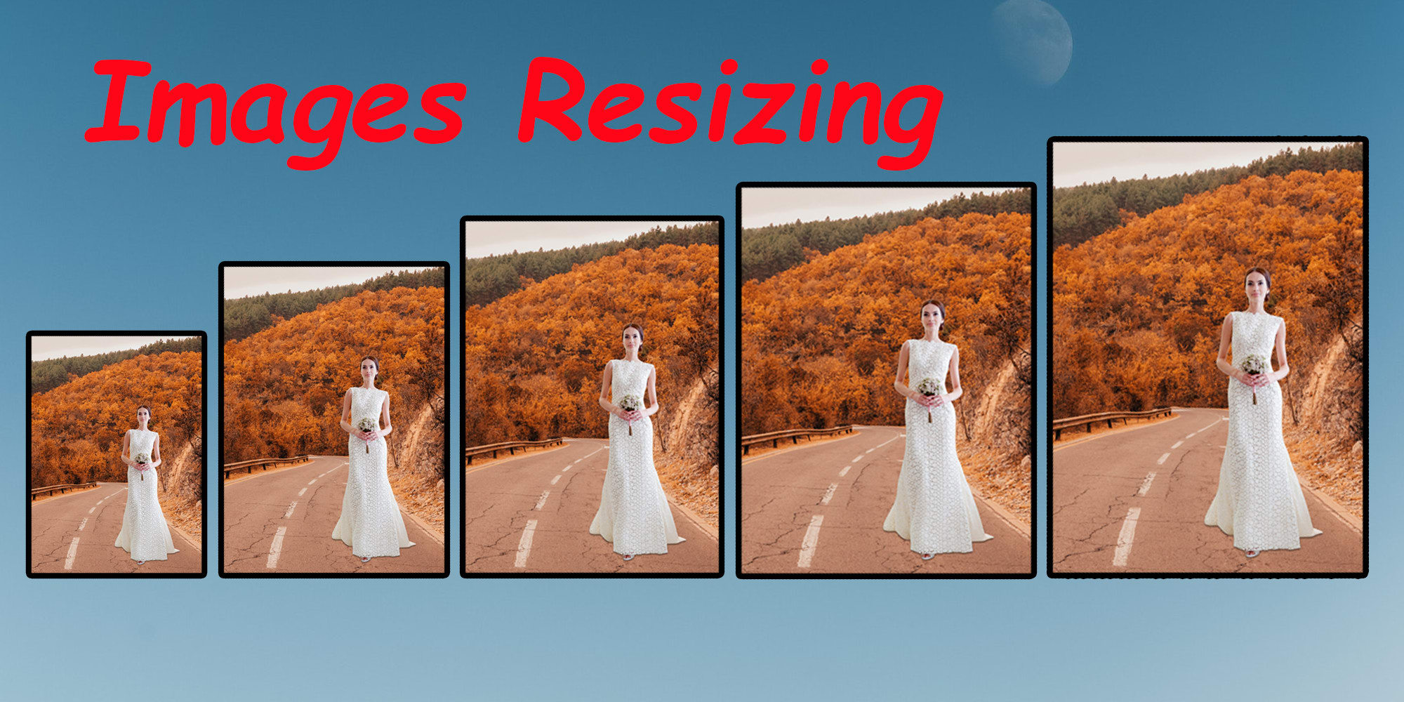 I Will Do image crop and image resizing in 24 hours