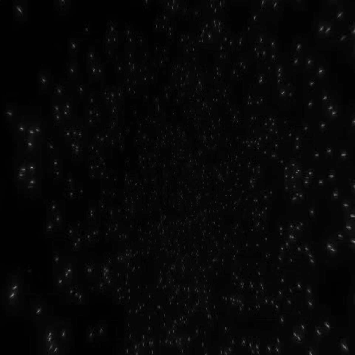 I will fix blurry videos and upscale denoise enhance with topaz ai