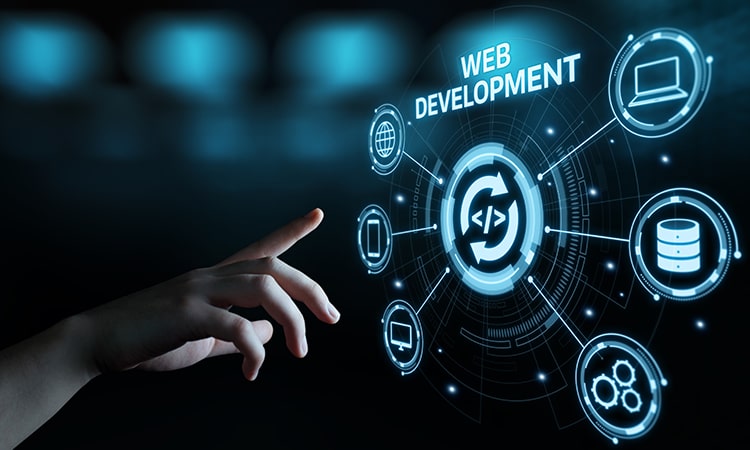 I am a professional Web Developer