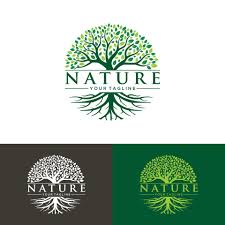 I will design different kinds of logo