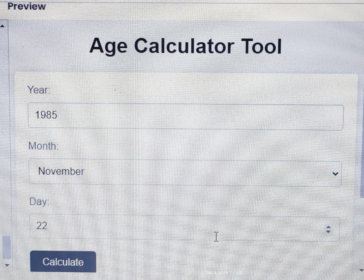 Calculator Tool: Calculate Your Age and Day of Birth! HTML CODE WITH JS
