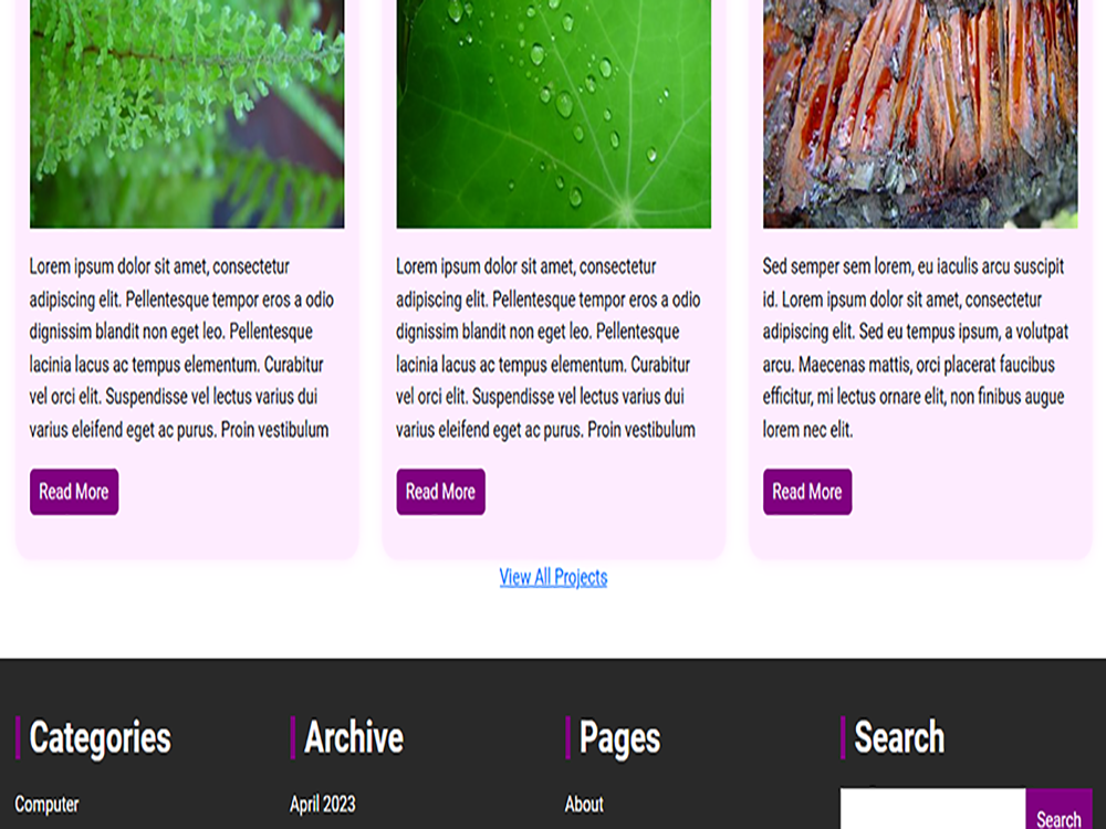 Develop WordPress Website and portfolio