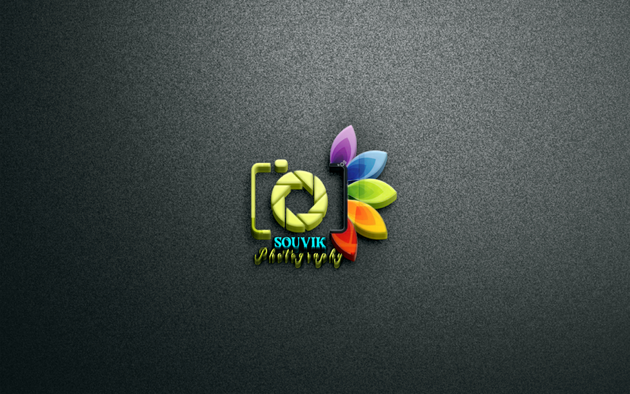 I will creative&nbsp;Professional 3D logo design