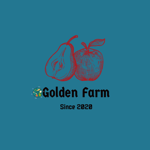 Logo design, 3D logo, Business card design, Poster design