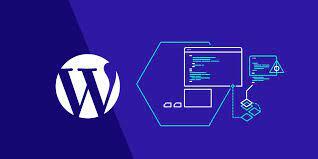 I will provide wordpress developer services
