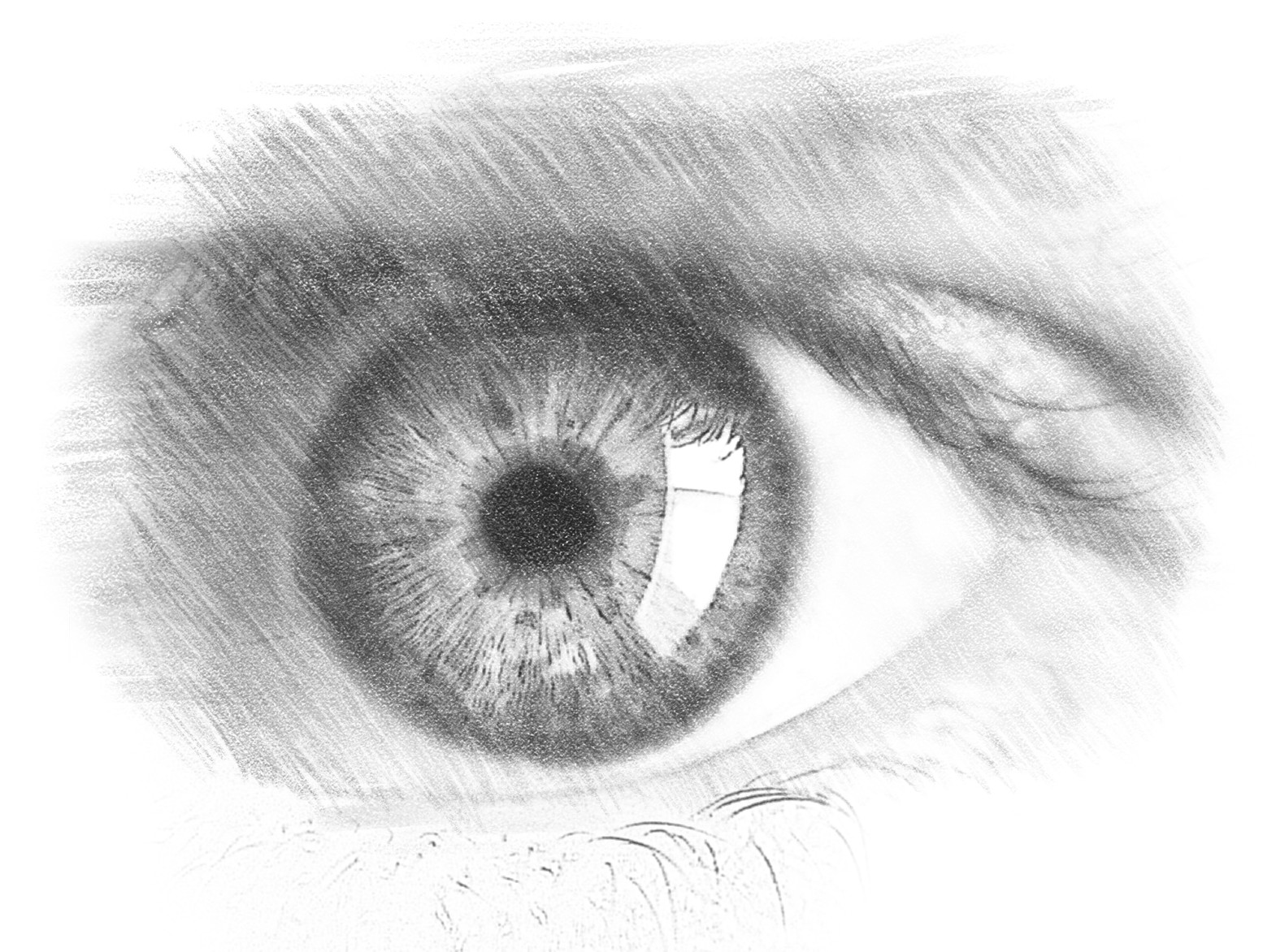 I will draw amazing, fantastic realistic pencil sketch portrait for you