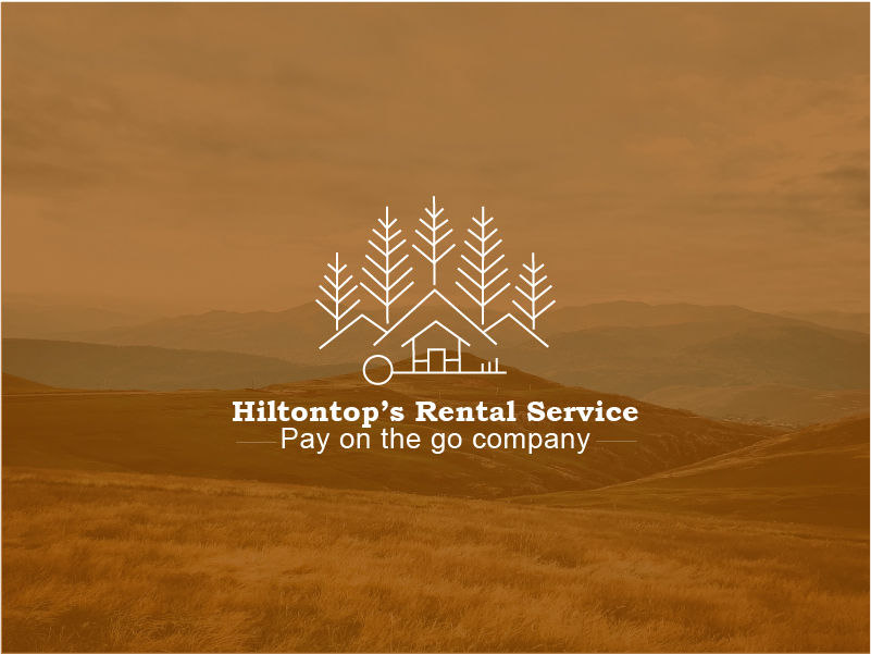 I will design a unique logo and brand identity for your business