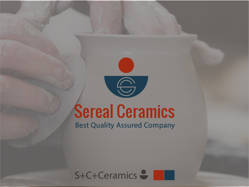 I will design a unique logo and brand identity for your business