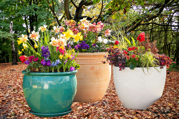 Remove or edit background of your choice