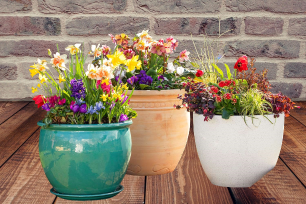 Remove or edit background of your choice